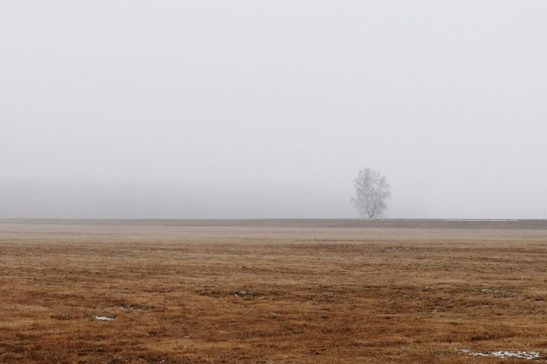 mysterious foggy landscape