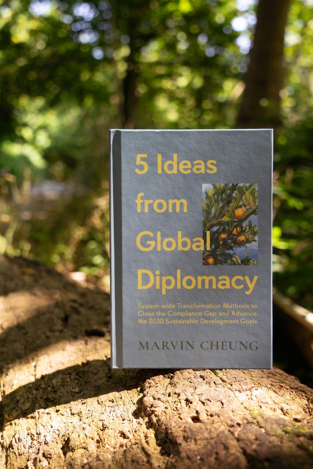 book cover design