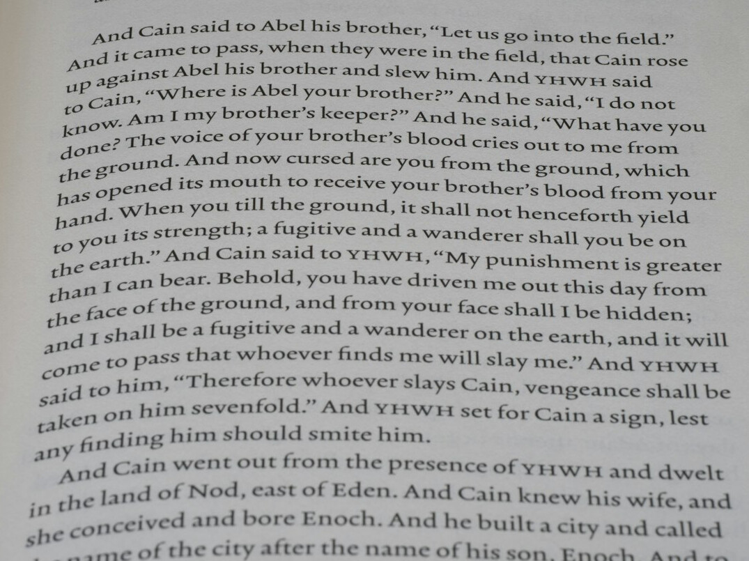 twist ending in mystery novel